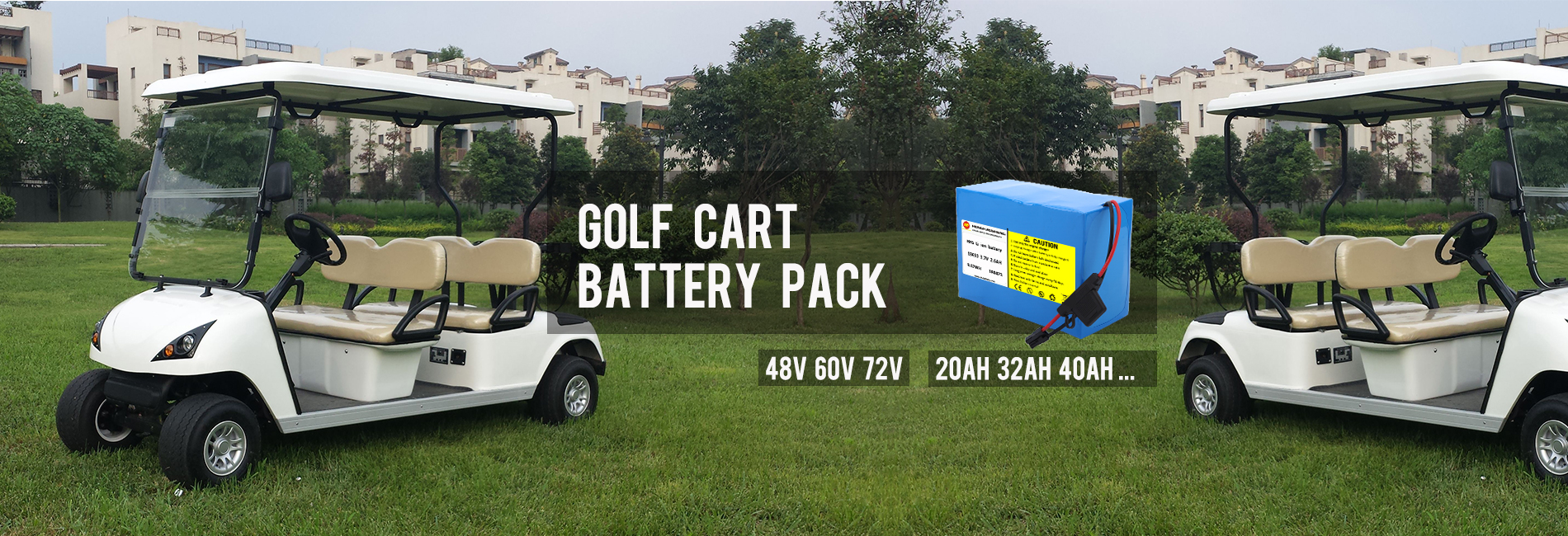 Electric Golf Cart